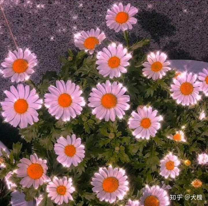 有没有一读就会惊叹哇好温柔啊的句子