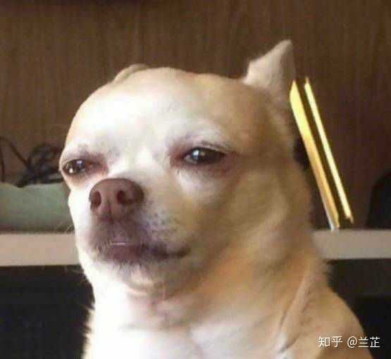 如何评价蔡徐坤2019年7月26日发布的新专辑young