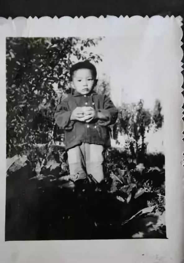 演员段奕宏到底有多难?