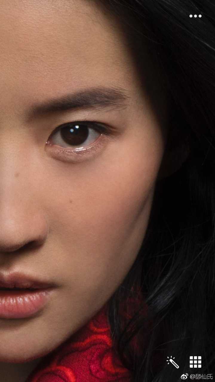 如何评价刘亦菲花木兰定妆照
